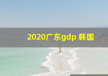 2020广东gdp 韩国